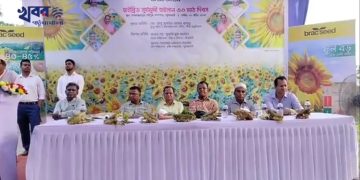 মুক্ত তৈলের হাতছানি দিচ্ছে হাইব্রিড সূর্যমুখী -মো. আবু জোবায়ের হোসেন বাবলু