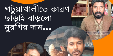 পটুয়াখালীতে কোন কারণ ছাড়াই বাড়লো মুরগির দাম।