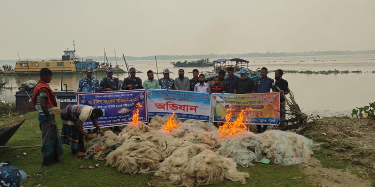 পটুয়াখালীতে ৫০ হাজার মিটার ইলিশের জাল জব্দ।