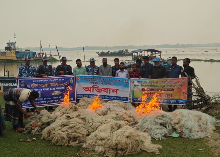 পটুয়াখালীতে ৫০ হাজার মিটার ইলিশের জাল জব্দ।
