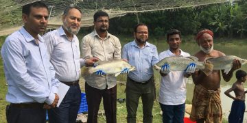 পটুয়াখালী বিজ্ঞান ও প্রযুক্তি বিশ্ববিদ্যালয়ের গবেষণা; সামুদ্রিক শৈবাল ও ফিড খাবারে চাষ হবে সুস্বাদু কোরাল মাছ।