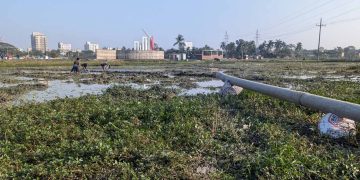 পটুয়াখালীতে ড. মিজানুর রহমান আজহারীর আগমন প্রস্তুত হচ্ছে আট ময়দান।
