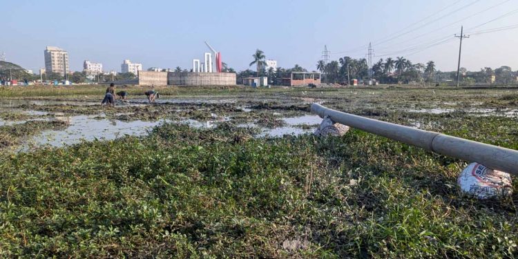 পটুয়াখালীতে ড. মিজানুর রহমান আজহারীর আগমন প্রস্তুত হচ্ছে আট ময়দান।