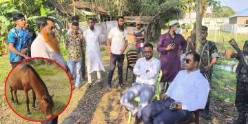 গাজীপুরে নিষিদ্ধ হলো ঘোড়ার মাংস বিক্রি